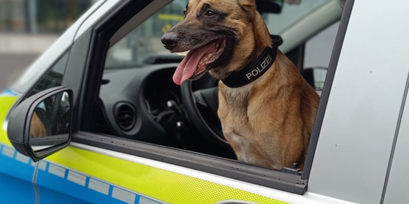 POL-ME: Nächtlicher Hubschraubereinsatz: Polizei nimmt Einbrecher auf frischer Tat fest - 2509061 - Foto: presseportal.de