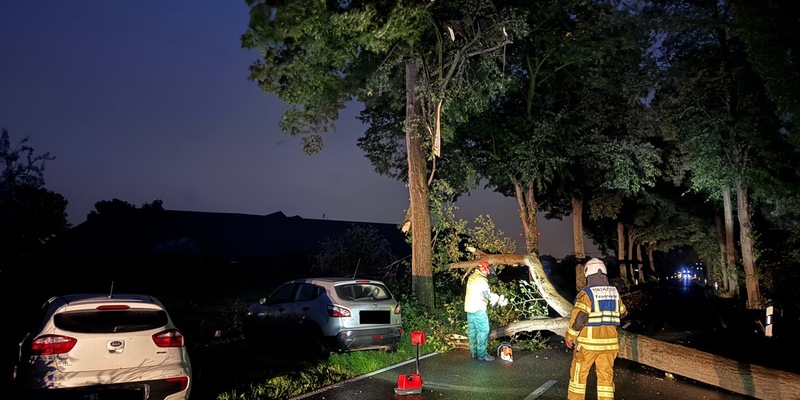 FW Tönisvorst: Ein umgestürzter Baum sorgte für einen Unfall zwischen zwei ausweichenden Fahrzeugen und sorgte für erhebliche Verkehrsstörung, verletzt wurde niemand - Foto: presseportal.de