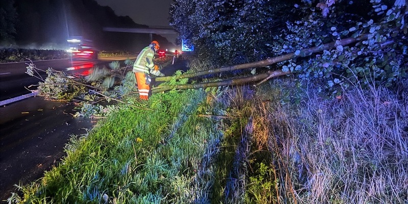 FW Alpen: Baum auf Fahrbahn - Foto: presseportal.de