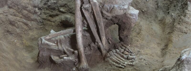 Dieser Fund soll älter als 9.000 Jahre sein. - Foto: Yousuke Kaifu;Hirofumi Matsumura/dpa