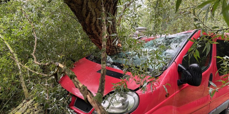 POL-RZ: Sturm zwingt Bäume in die Knie / Polizei warnt vor Unwetter - Foto: presseportal.de