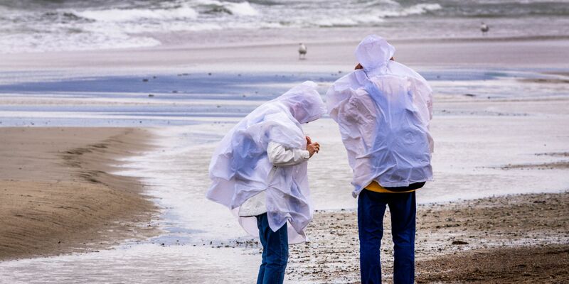 Sturmböen sorgen in Norddeutschland für einzelne Sperrungen und Ausfälle – größere Schäden bleiben aus. - Foto: Jens Büttner/dpa
