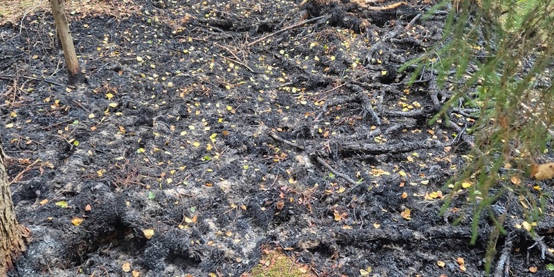 FFW Schiffdorf: Aufwendige Löscharbeiten: Aufmerksame Spaziergänger bemerken Brand im Spadener Moor - Foto: presseportal.de