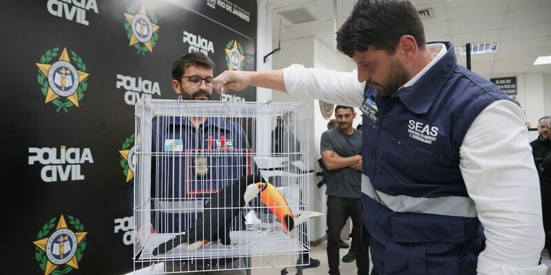 Laut Polizei bringt der Tierhandel der organisierten Kriminalität Millionen ein. - Foto: Fabiano Veneza/SEAS RJ/dpa