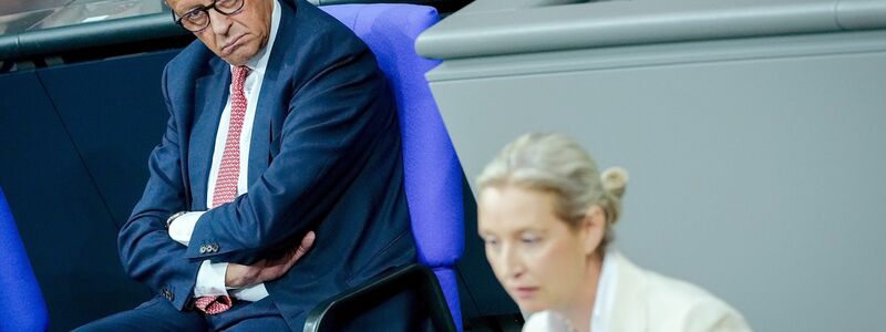 Das erste Rededuell zwischen Merz und Weidel in einer Generaldebatte im Juli wurde zu einem heftigen Schlagabtausch. - Foto: Kay Nietfeld/dpa