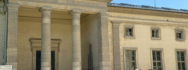 Mehrere Goldnuggets im Wert von 1,5 Millionen Euro wurden aus dem Pariser Naturkundemuseum gestohlen. (Archivbild) - Foto: Rachel Sommer/dpa