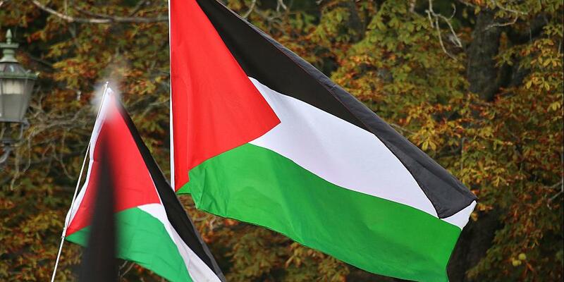 Palästinenser-Flaggen (Archiv) - Foto: über dts Nachrichtenagentur