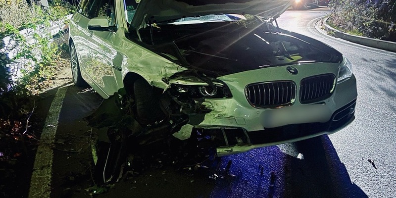 FW-EN: Verkehrsunfall und Tierrettung - Foto: presseportal.de