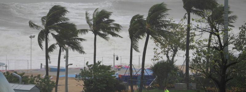 Die kräftigen Winde ließen örtlich Bäume umknicken.  - Foto: Ng Han Guan/AP/dpa