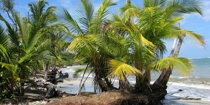 Der Fund zweier Leichen auf dem Grundstück eines deutschen Paares in Costa Rica gibt Rätsel auf. (Archivbild) - Foto: picture alliance / dpa