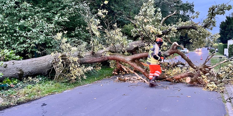 FW Hünxe: Baum blockierte Straße - Foto: presseportal.de
