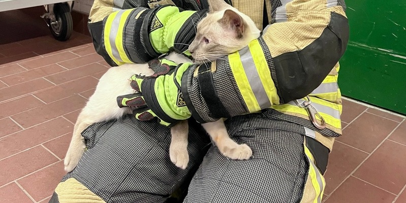 FW Hünxe: Feuerwehr rettet eingeklemmte Katze aus Schleusenkammer - Foto: presseportal.de