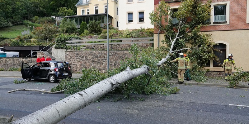 FW Dresden: Informationen zum Einsatzgeschehen von Feuerwehr und Rettungsdienst in der Landeshauptstadt Dresden vom 24. September 2025 - Foto: presseportal.de