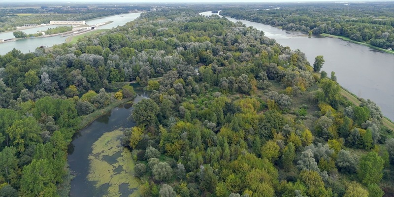 Rhinaissance: Ein europäisches Projekt für die Wiederbelebung des Rheins^ - Foto: presseportal.de