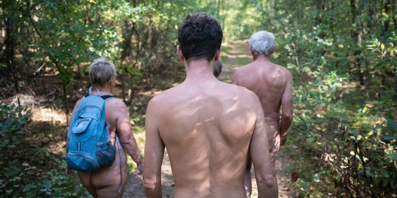 Der Wanderweg liegt in der Gemeinde Wustrow an der Mecklenburgischen Seenplatte. - Foto: Philip Dulian/dpa