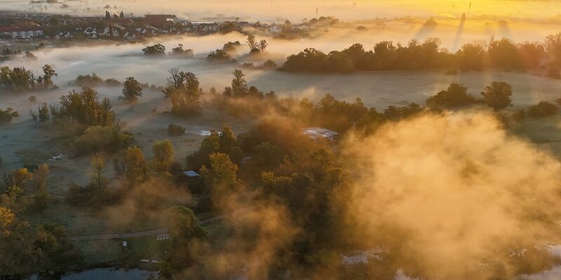 Nebel ist typisch für den Herbst. (Symbolbild)  - Foto: Peter Gercke/zb Regio/dpa
