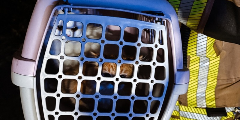 FW-DT: Zimmerbrand - 18 Personen rettungsdienstlich betreut - Foto: presseportal.de