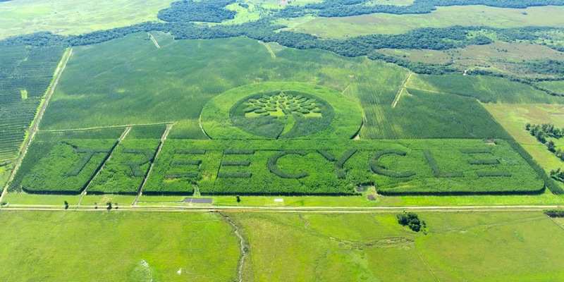 TREECYCLE erhält erneut grünes Licht: Impact-Investment wächst weiter / Der Kreislauf für Mensch, Natur und Rendite - Foto: presseportal.de