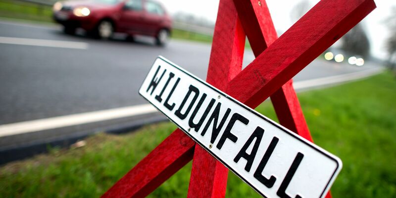 Ein Warnschild an der Stelle eines Wildunfalls in Deutschland. (Symbolbild)  - Foto: Hauke-Christian Dittrich/dpa