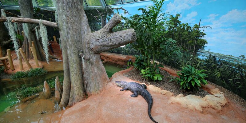Eröffnung Terrarium Zoo Leipzig - Foto: © Andreas Schmidt über pressetext.de