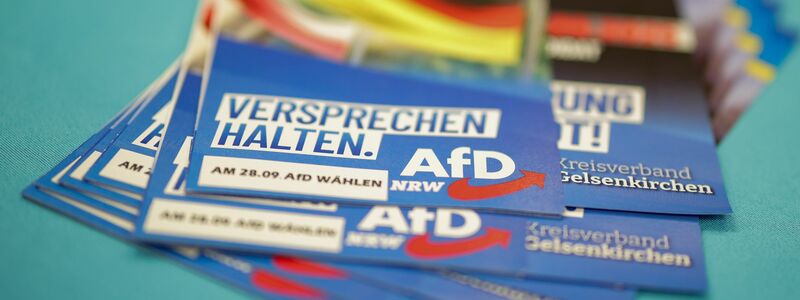Die AfD brachte keinen ihrer Kandidaten in den Stichwahlen durch. - Foto: Christoph Reichwein/dpa