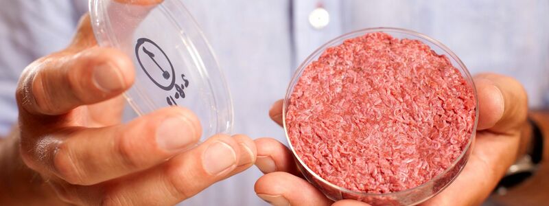 Professor Mark Post von der Universität Maastricht zeigt 2013 künstliches Fleisch aus dem Labor in einer Petrischale. (Archivbild) - Foto: David Parry/Pa Wire Handout/PRESS ASSOCIATION IMAGES/dpa