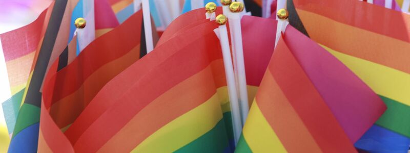 Regenbogenfahnen - Symbol der Community - auf einem Christopher Street Day. (Archivbild) - Foto: Matthias Bein/dpa