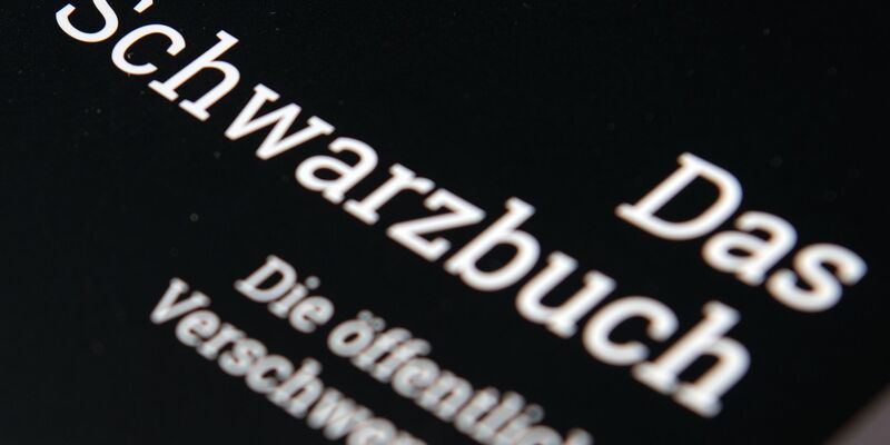 Der Bund der Steuerzahler sammelt in seinem Schwarzbuch Beispiele für die Verschwendung öffentlicher Gelder. (Symbolbild) - Foto: Ralf Hirschberger/zb/dpa