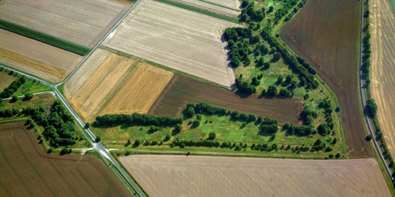 Naturschutzprojekt Deutsche Einheit: Grünes Band immer bekannter und beliebter / BUND veröffentlicht Umfrage zum größten deutschen Biotopverbund - Foto: presseportal.de