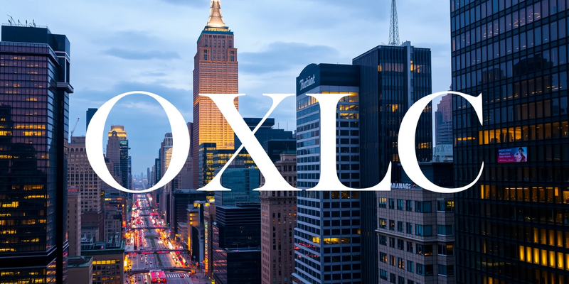 Oxford Lane Capital Shares Struggle Following Reverse Stock Split - Foto: über boerse-global.de