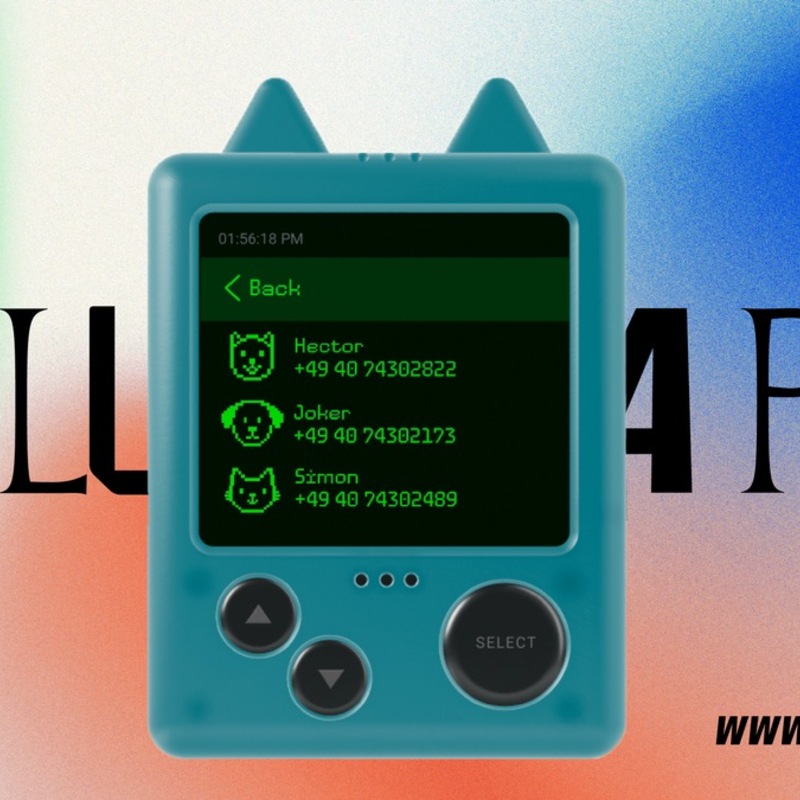 Mit KI gegen überfüllte Tierheime – „CALL A PET“ startet am Welttierschutztag - Foto: presseportal.de