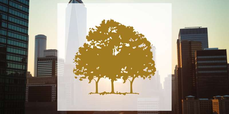 Canopy Growth Aktie: Achterbahn! - Foto: über boerse-global.de