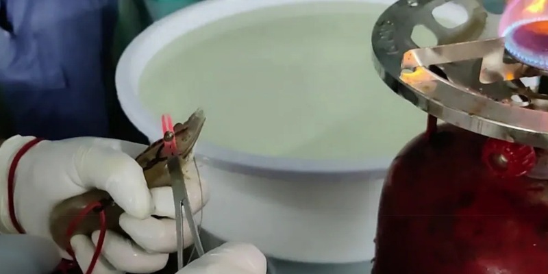 Werden Aldi-Garnelen die Augen abgeschnitten? / Neue Aufnahmen decken verstörende Praktiken in der Garnelenindustrie auf - Verbindung zu deutschen Supermärkten - Foto: presseportal.de