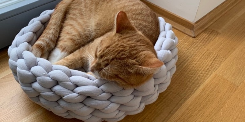 FW Dresden: Informationen zum Einsatzgeschehen von Feuerwehr und Rettungsdienst in der Landeshauptstadt Dresden vom 2. Oktober 2025 - Foto: presseportal.de