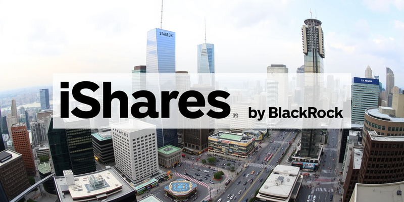 Black Knight Aktie: Trugschluss Sicherheit? - Foto: über boerse-global.de