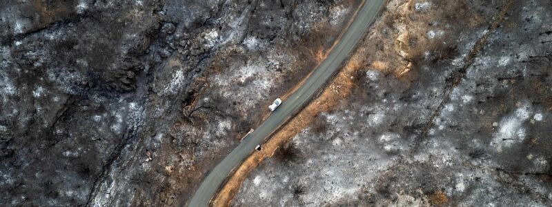 Der weltweite Schaden durch Flächenbrände hat seit 2015 stark zugenommen. (Archivbild) - Foto: Lionel Bonaventure/AFP/dpa