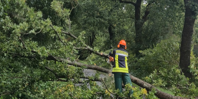 FW-AUR: Baum stürzt auf Telefonleitung und Fahrbahn - Foto: presseportal.de
