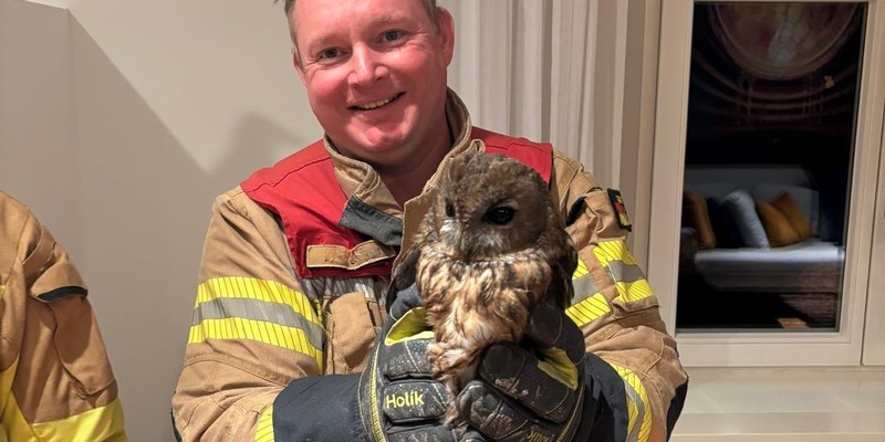 FW-GL: Eule im Kamin - ungewöhnlicher Einsatz in der Stadtmitte von Bergisch Gladbach - Foto: presseportal.de