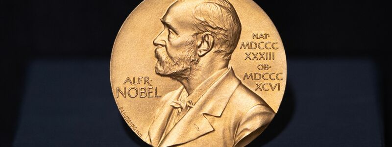 Die Medaille, die für einige Tage die Welt bedeutet. (Archivbild) - Foto: Daniel Reinhardt/dpa