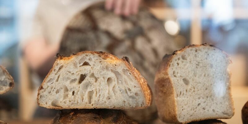 Der Ansatz muss immer wieder gefüttert werden. - Foto: Marijan Murat/dpa