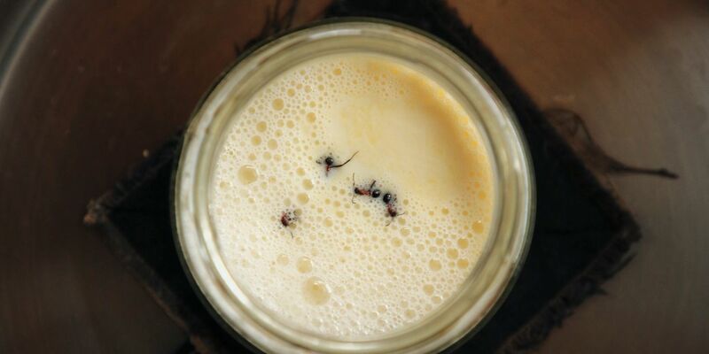 Die traditionelle Methode stammt aus der Türkei und dem Balkan. - Foto: David Zilber/dpa