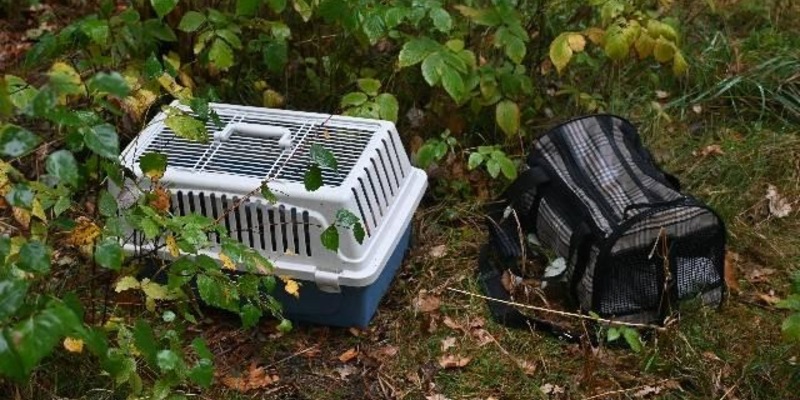 POL-HK: Soltau: Ausgesetzte Hauskatzen, Sattelauflieger aufgebrochen; Schwarmstedt: Audi entwendet; Walsrode: Auf der Felge gefahren; Munster: Einbruch in Garage; Bad Fallingbostel: Lkw brennt, pp. - Foto: presseportal.de