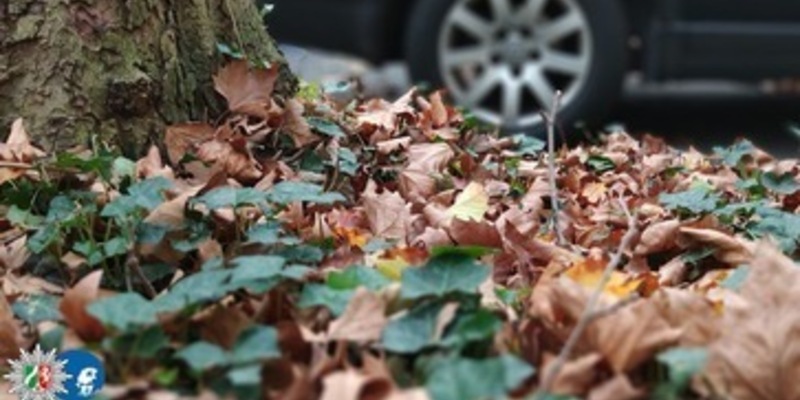 POL-BN: Sicher durch Herbst und Winter - Jetzt auf Winterreifen umrüsten - Foto: presseportal.de