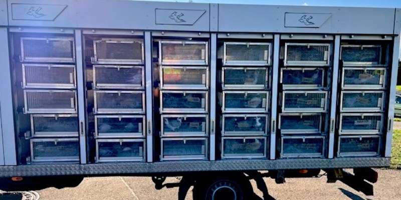 HZA-SI: Zoll versteuert flatterhafte Fracht - Foto: presseportal.de