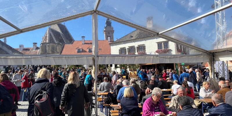 Gans am Neusiedler See - Rust - Foto: Stadtmarketing-Tourismusbüro Rust, Biegler über pressetext.de