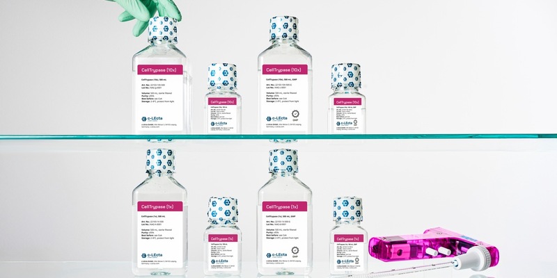 c-LEcta bringt neues GMP-Enzym zur Zelldissoziation für die biopharmazeutische Produktion auf den Markt - Foto: presseportal.de