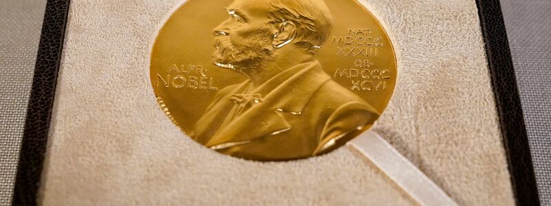 Die Vorderseiten der Nobel-Medaillen - hier für Medizin - zeigen den Stifter Alfred Nobel. (Archivbild) - Foto: Mary Altaffer/Pool AP/dpa