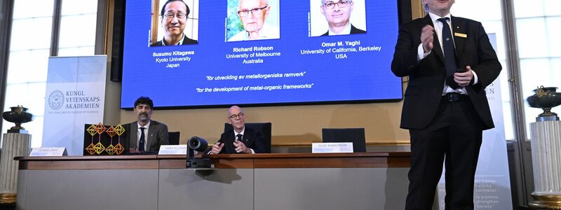 Mit ihrer Forscher legten die Chemiker die Basis für viele mögliche Problemlösungen.  - Foto: Fredrik Sandberg/TT News Agency/AP/dpa