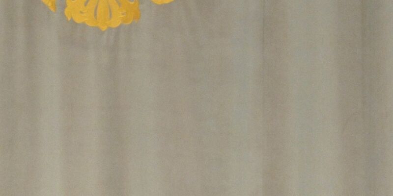 Kremlchef Putin im Obersten Gericht - einer der Richter ist wegen Korruption und Zuhälterei angeklagt. (Archivbild) - Foto: Alexei Nikolsky/Sputnik/Pool Kremlin/AP/dpa