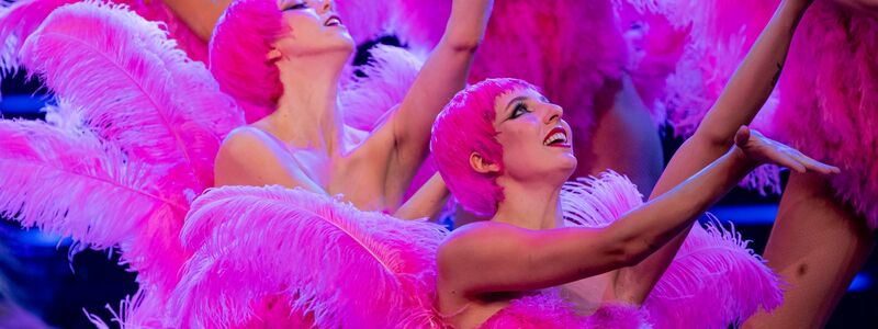 Die neue Show heißt «Blinded by delight». (Archivbild) - Foto: Fabian Sommer/dpa